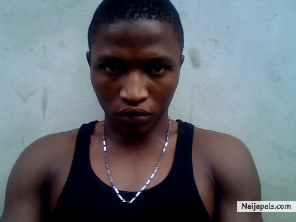  - click for next photo