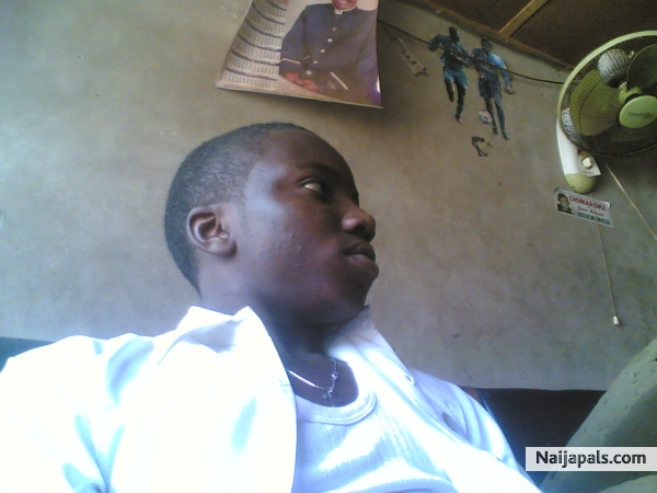 cool - click for next photo