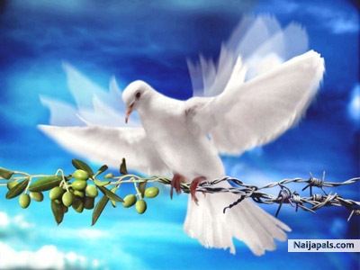 feel de peace - click for next photo