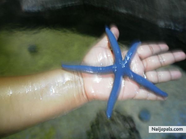  - click for next photo