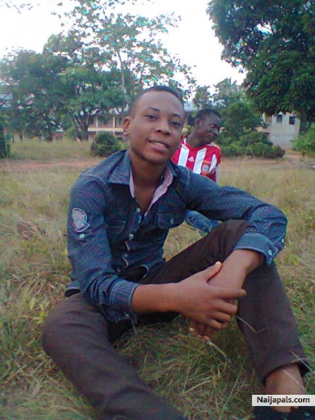  - click for next photo