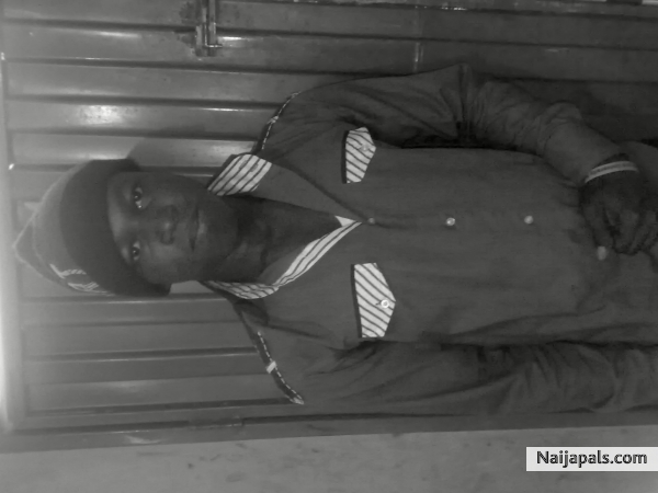 - click for next photo