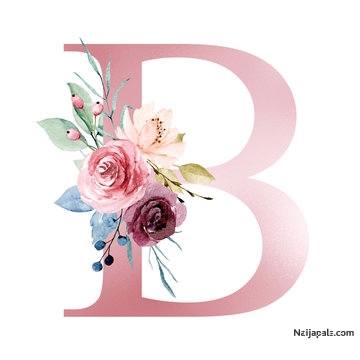 B - click for next photo