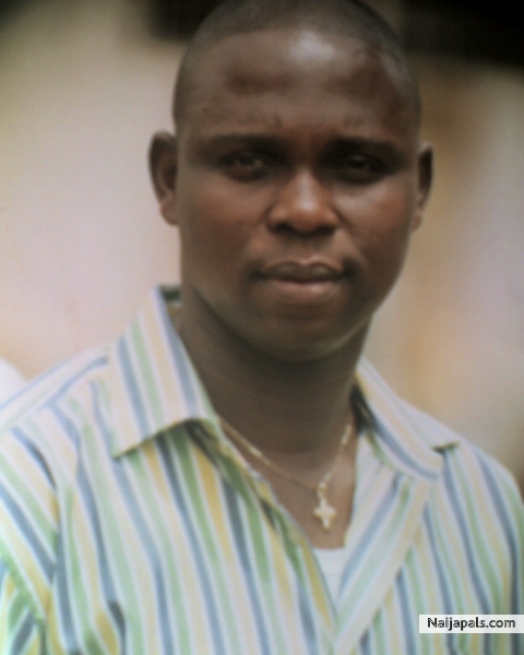 FESTUS - click for next photo
