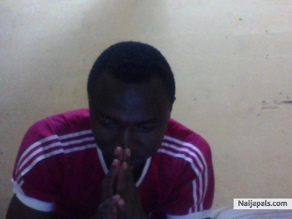  - click for next photo