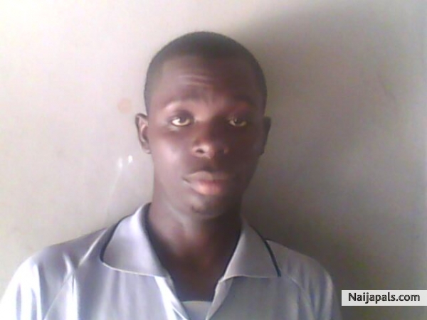 Photo - click for next photo