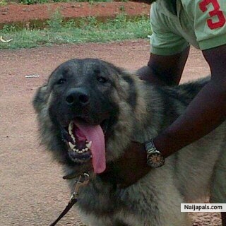 Take a look at this guy.... - click for next photo