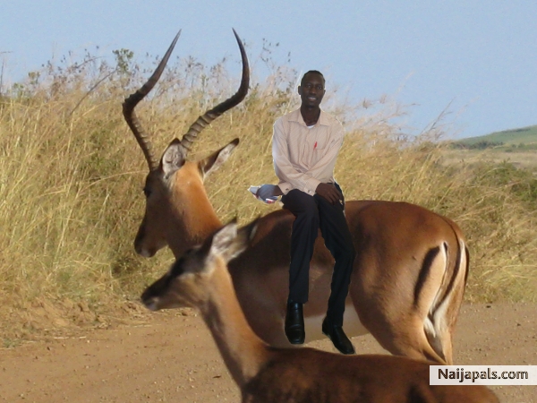Kidepo National Game Park - click for next photo