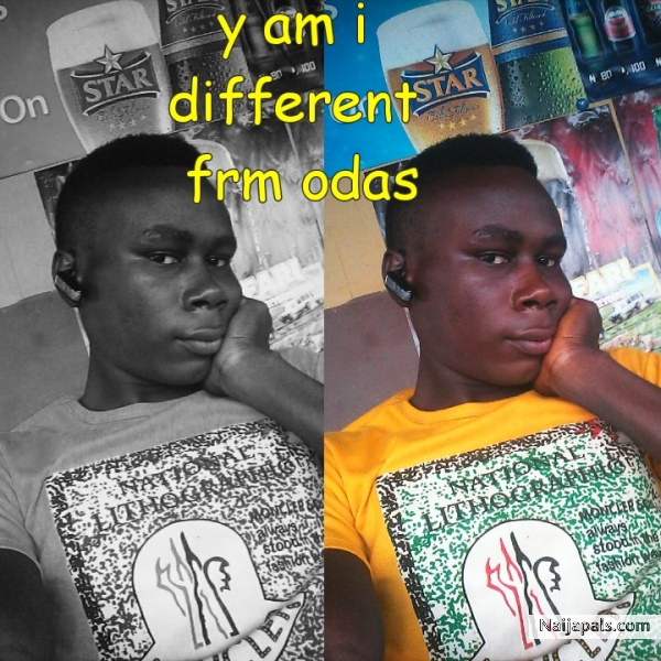 i live my life a quater miles away frm trouble - click for next photo