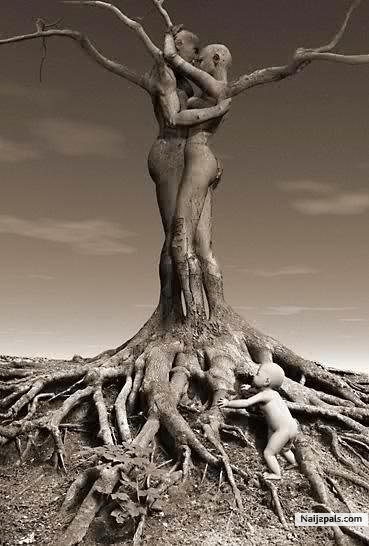 D tree of life - click for next photo