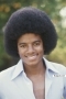 jackson - click for next photo