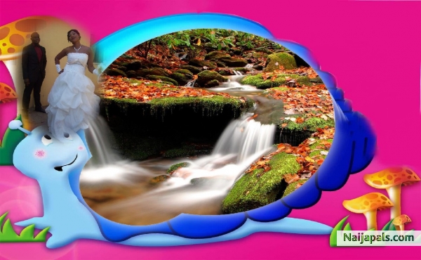  - click for next photo