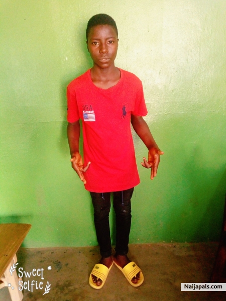  - click for next photo