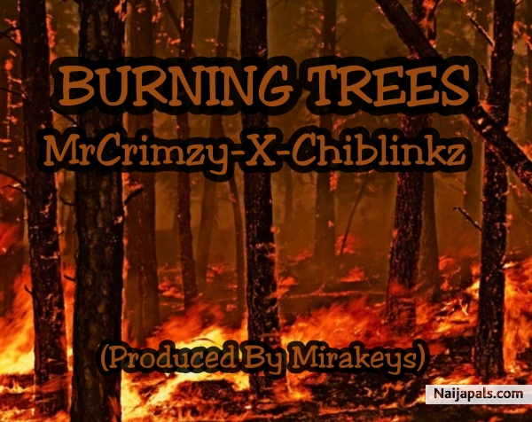 MrCrimzy_X_Chiblinkz_Burning-Trees_prods.by.mirakeys