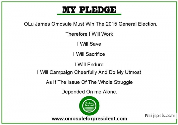 My Pledge. - click for next photo