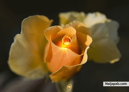 my - click for next photo