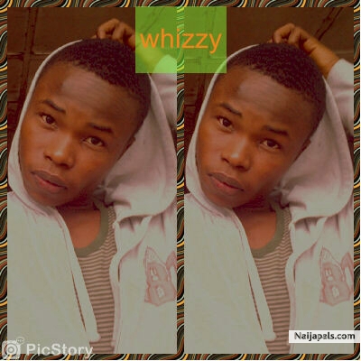 whizzy - click for next photo