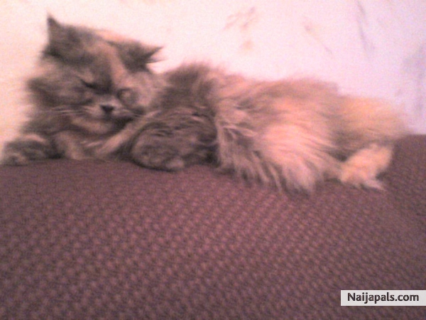 Shally :)) - click for next photo