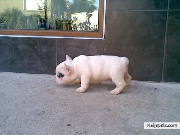  - click for next photo