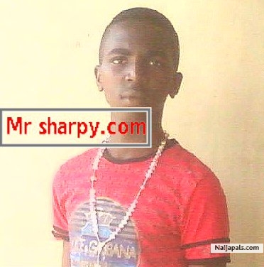  - click for next photo