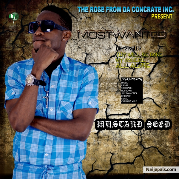 the album cover - click for next photo