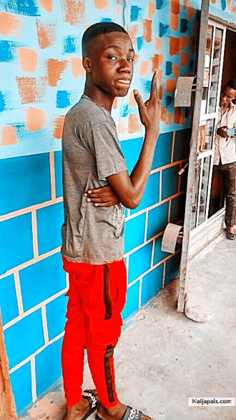 Loke Loke