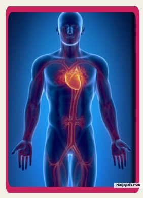 Heart Valve Replacement Surgery in Bangalore, India - click for next photo