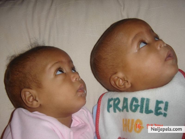 MY ANGELS - click for next photo