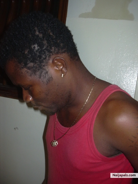 THIS IS JAH-LOVE FOR ALL - click for next photo