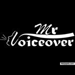 mr voiceover logo - click for next photo