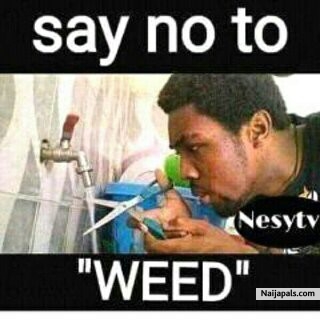 Just say NO - click for next photo