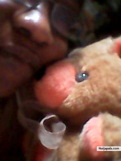 teddy - click for next photo