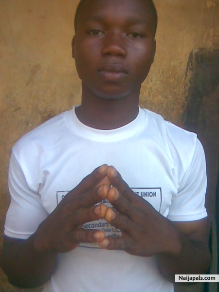  - click for next photo