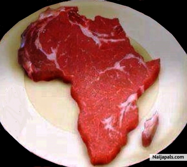 AFRICA - click for next photo
