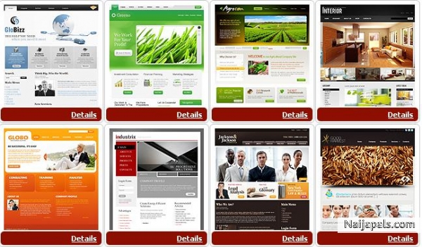Professional, affordable website designing & hosting at dadycandoit.com - click for next photo