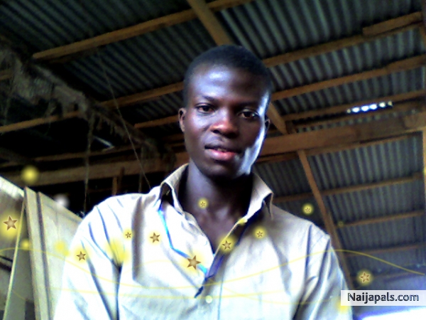 photo - click for next photo