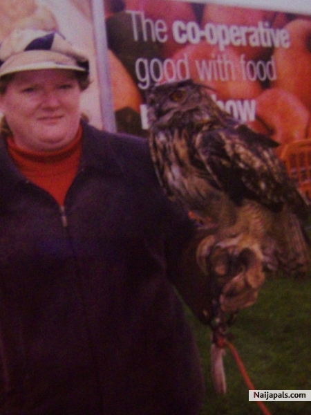 me with an eagle owl yesterday in belfast balmorial show - click for next photo