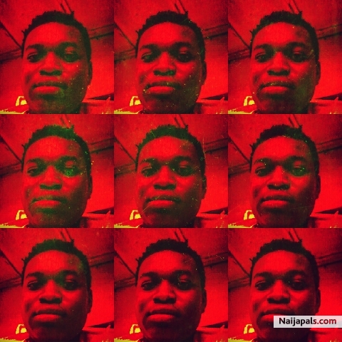 Chrisj - click for next photo