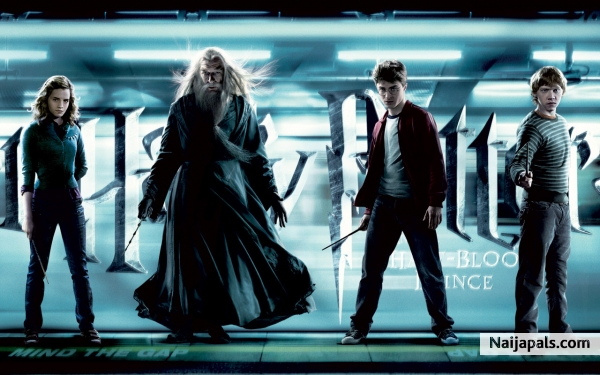 Herry Potter - click for next photo