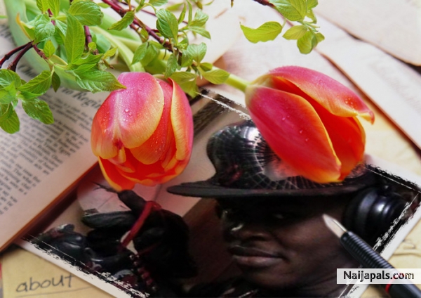  - click for next photo