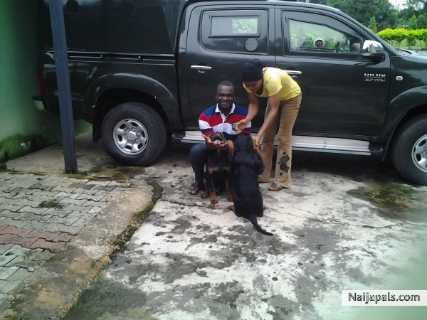 me and Hadiza with my cool dogs - click for next photo