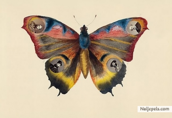 thoughts like a butterfly. - click for next photo