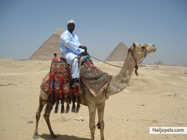chillin kool in Gaza,,,d PYRAMIDS!!! - click for next photo
