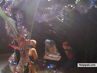  - click for next photo
