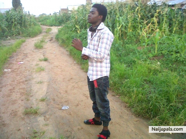 JUNGLY BOY - click for next photo