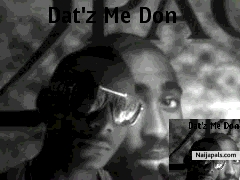 Nigga - click for next photo