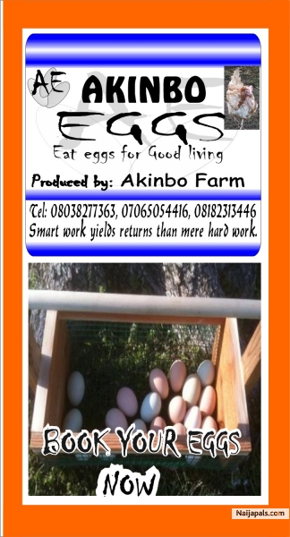 AKINBO FARM - click for next photo