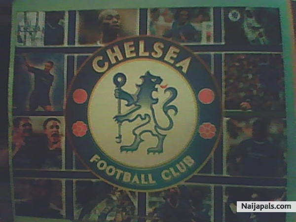 chelse - click for next photo