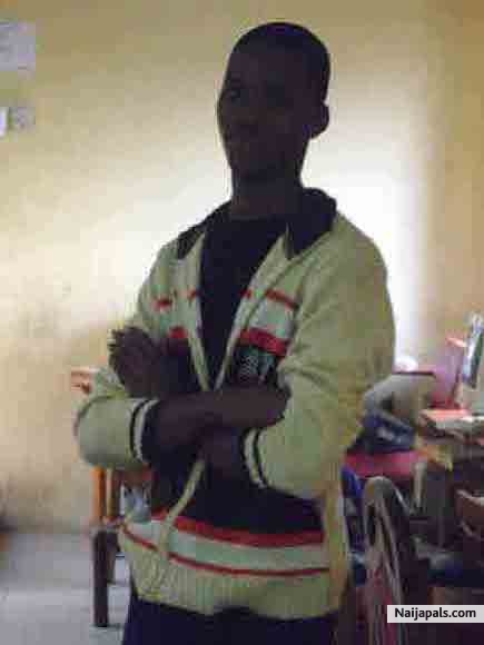 - click for next photo