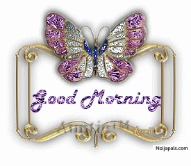 Wonderful - click for next photo